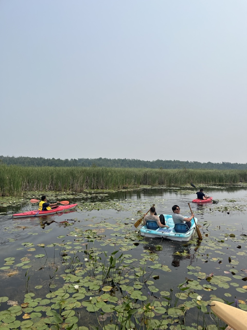 Kayaking on the marsh